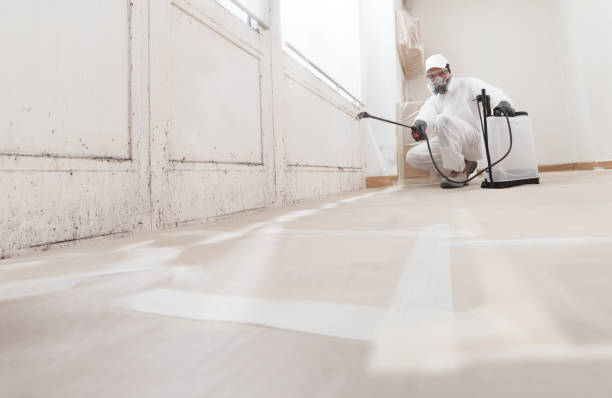 24/7 Emergency Commercial Mold Remediation experts in Nashville, MI