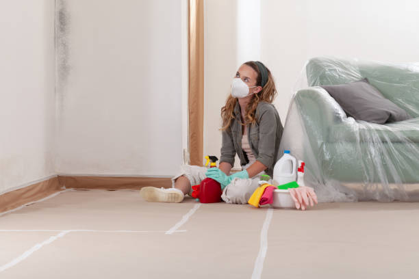 Reliable Commercial Mold Remediation contractor in Nashville, MI by WQB Mold Removal